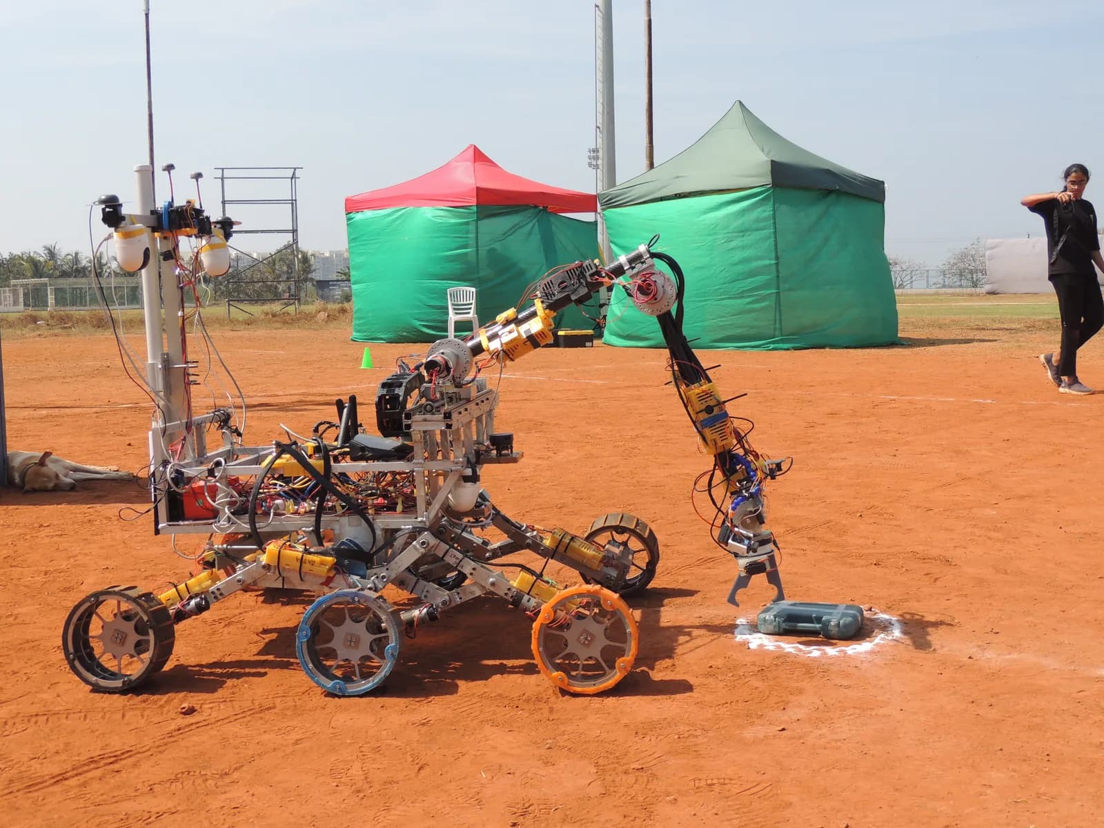 Rover full view